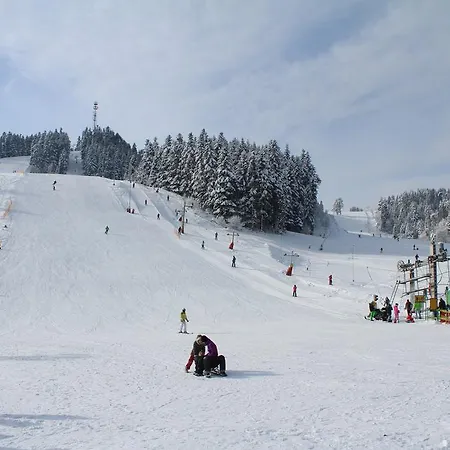 Pinewood Valley Oasis Vyšné Ružbachy
